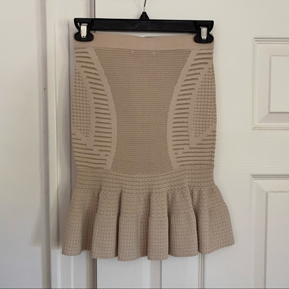 NEW Ronny Kobo Collection Joni Cream Skirt - Picture 5 of 6